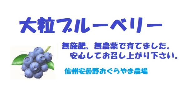 ブルーベリーを食べると記憶力があがる 物忘れにも効果ありか